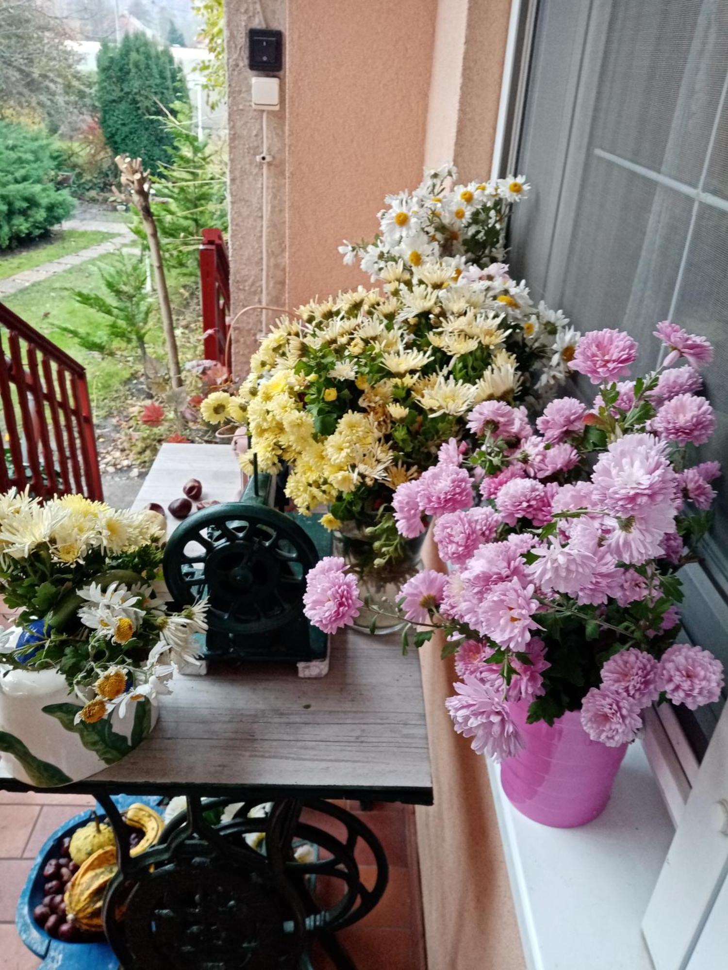 Margaret Apartman エゲルサローク エクステリア 写真